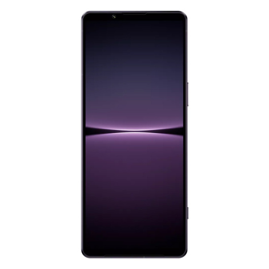 Sony Xperia 1 IV 12/512Gb Global Фиолетовый