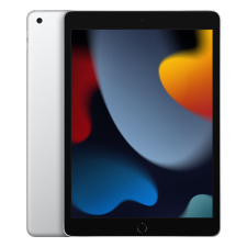 Планшет Apple iPad (2021) Wi-Fi 256Gb Серебристый (РСТ)