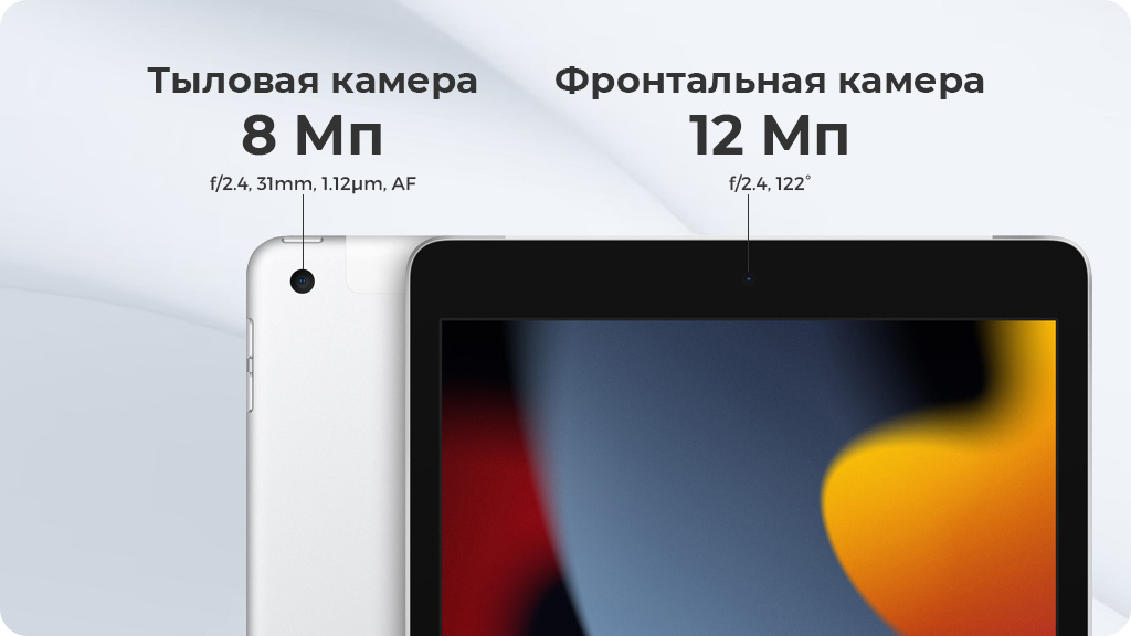 Apple iPad (2021) Wi-Fi + Cellular 256Gb Серый космос